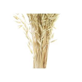 DKD Home Decor Ramo Shabby Verde 16 x 60 x 16 cm Flor Seca (12 Unidades)