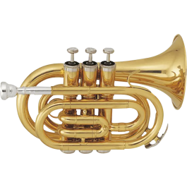 SML Trompeta Pocket Tp50 Si bemol con Estuche y Boquilla SML Paris Precio: 290.50000045. SKU: B1HS3KLSH2