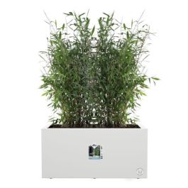 Jardinera Elho Vivo Next Long 60 - Blanco - L 59 x B 30 x H 29 cm - interior/exterior - 100% reciclado