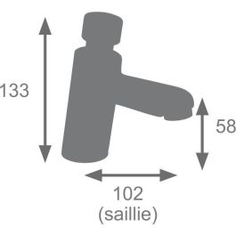 Edouard Rousseau EDO3047404061098 Mezclador de Lavabo Temporizado Cromo