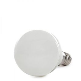 Bombilla LED E14 3W 240Lm 6000ºK 40.000H [HO-3WE14SMD2835-CW] Precio: 1.49999949. SKU: 15096764793219
