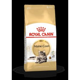 Royal Canin Feline Maine Coon 4 kg Precio: 56.4999996. SKU: B12EL5TLCD