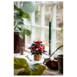 LEGO 10370 Icons Flor de Pascua, Juego Construcción 608 Piezas, 18+ Años