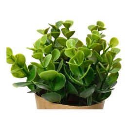 Planta artificial con maceta de papel de 18cm modelos surtidos 808607