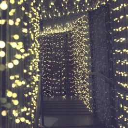 LUMI GARDEN Guirnalda luminosa de bola Billy Solar - Luz blanca cálida - 60 bolas - 700 cm - Interior/Exterior