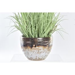 Planta DKD Home Decor Rosa Palo Amarillo 20 x 66 x 20 cm (2 Unidades) Planta DKD Home Decor Rosa Palo Amarillo 20 x 66 x 20 cm (2 Unidades)