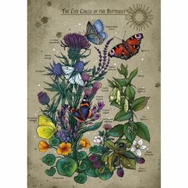 Ravensburger RAV1743574232458 Puzzle El Círculo de la Vida de la Mariposa - 1000 piezas, Multicolor - Edades 14+