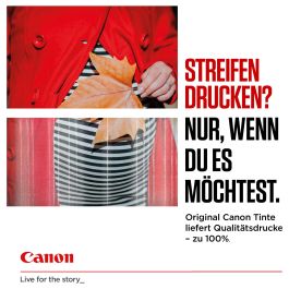 CANON Cartuchos CLI551 CMYK Multi EcoPack 4 colores carton