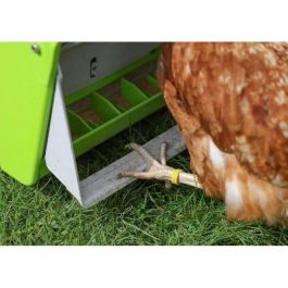 Comedero automático - KERBL - SmartCoop - Persiana protectora - 7,5 kg - Verde Comedero automático - KERBL - SmartCoop - Persiana protectora - 7,5 kg - Verde