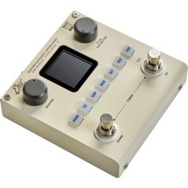 Eko BAIO XL Pedalera Multiefectos para Guitarra y Bajo Eléctrico con Batería Recargable y Bluetooth