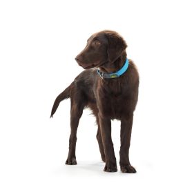 Hunter Collar Convenience para Perro, Impermeable, Plástico, 33-41 cm Cuello, Ancho 2cm, Talla S-M, Turquesa, Resistente