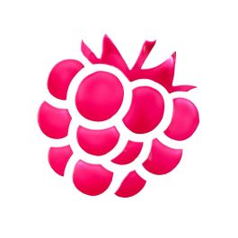 ESSENCE WHAT A TINT! Tinte Labios y Mejillas #10-Raspberry Vibes 5g