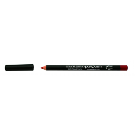 Postquam Lipliner Postquam Intense Red 1 Ud Precio: 2.50000036. SKU: B1464TGFJF