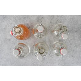 La Mediterranea Botella 250 ml con Tapón Hermético PRB La Medit (24 Unidades)