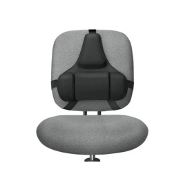 Fellowes Respaldo Ergonómico Profesional con Memory Foam de 3 Secciones, Adaptable a la Curvatura de la Espalda, Color Negro Precio: 59.59000014. SKU: B1JJR4CXP4