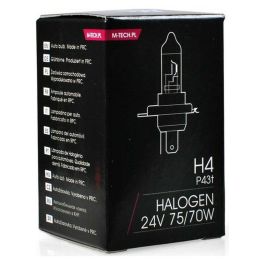 M-Tech Lámpara Halógena H7 PX26d 24V 70W MTECZ907 Precio: 4.49999968. SKU: B1B99MT64S