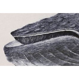 DKD Home Decor Cuadro Atlantico Set de 3 con Diseño de Ballena, Azul y Beige, 2 x 70 x 150 cm