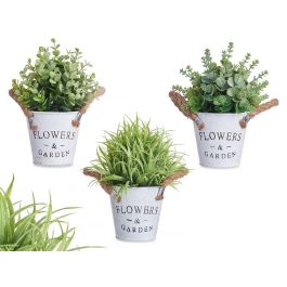 Planta Flor Verde Envejecid Bote Metal 24Cm Surtidos Ibergarden (12 Unidades) Precio: 40.59000055. SKU: B19QGV4F8D