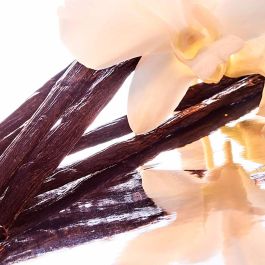 Guerlain Mon Guerlain Eau de Parfum Intense 100 mL