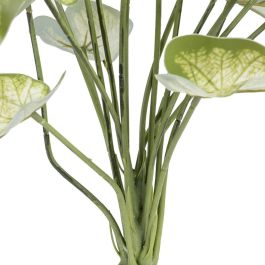 Rama Singonio Verde "Pvc" 36 X 38 X 48 cm