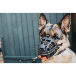 Hunter Bozal Albury 5 para Perros con Protección Anticebos Envenenados. Flexible, Plástico Resistente, Acolchado, Permite Beber y Jadear, Negro.