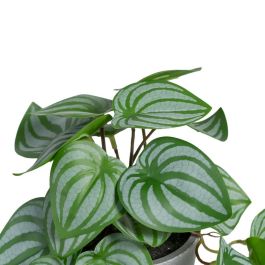 Potos Verde-Blanco "Pvc" 25 X 21 X 21,50 cm