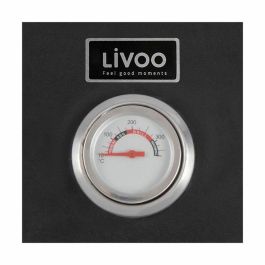 Livoo GS149 Horno de Pizza de Acero Inoxidable para Barbacoa de Gas o Carbón - 33,5 x 27,5 cm