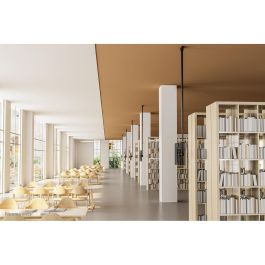 Soporte de Mesa para Pantalla Neomounts CL35-440BL16XL 70" 37" 50 kg