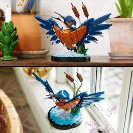 10331 por determinar-Iconos-Fauna-2024 V29 10331 por determinar-Iconos-Fauna-2024 V29