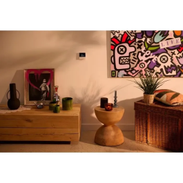 Home Pilot HOM4031909026323 Termostato Conectado con Receptor para Calefacción - Ahorro de Energía