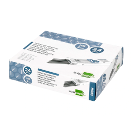 Liderpapel Minas Grafito 2 mm Estuche de 12 Minas Longitud 120 mm HB