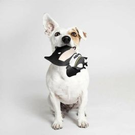 Cerdá Peluche temático Batman para perros, color Negro, dimensiones 9 x 19 x 22 cm, apto para perros a partir de 3 años Cerdá Peluche temático Batman para perros, color Negro, dimensiones 9 x 19 x 22 cm, apto para perros a partir de 3 años