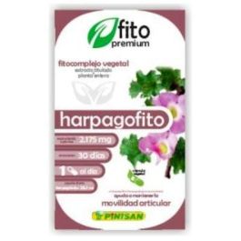 PINISAN Fito Premium Harpagofito 30 Cápsulas Veganas | Suplemento para Articulaciones Precio: 13.5899995. SKU: B1JN9Y8BQG