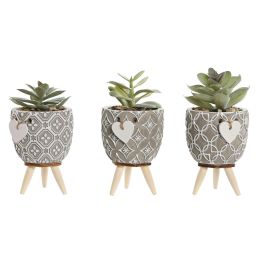 DKD Home Decor Planta Decorativa Shabby de Cemento y PE Gris Verde 9.5x9.5x12 cm - Set de 3 Unidades Surtidas Precio: 8.49999953. SKU: B18D55PMGX