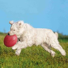 Frisbee Trixie Caucho Ø 24 cm