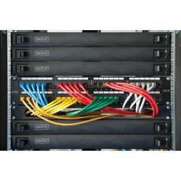 Digitus Panel Vacío 1U para Armario de Red/Servidor, Snap-In, ABS Sintéticos, Negro