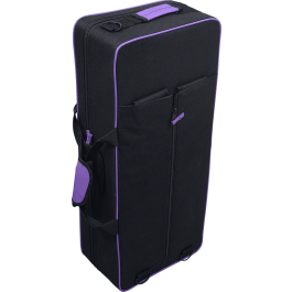 SML Saxofón Alto A420-II Dorado Lacado