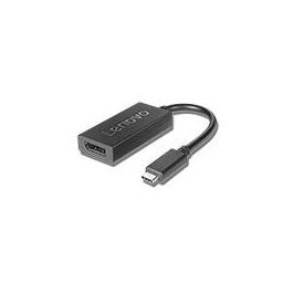 Lenovo 4X90Q93303 Adaptador USB-C a DisplayPort, 0.2m, Macho a Hembra, Negro Precio: 54.79000032. SKU: B19RVHAKBC