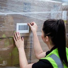 Impresora para Etiquetas Brother TJ4005DNZ1