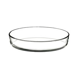 5Five Fuente para horno ovalada de cristal transparente 35x25x7 cm Precio: 12.50000059. SKU: S7908440