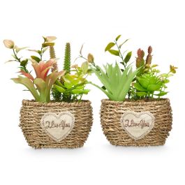Maceta Ovalada Surtidos Ibergarden 14X22CM (12 Unidades) Maceta Ovalada Surtidos Ibergarden 14X22CM (12 Unidades)