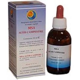 Msa Acer Campestre Yemas 50Ml. Precio: 17.5000001. SKU: B16S2PLXQW