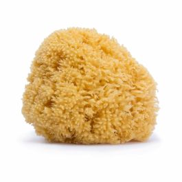 Suavinex Esponja Natural Marina Grande 100% Natural para Baño de Bebés y Toda la Familia, Piel Delicada, Suave y Absorbente