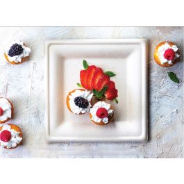 Set de 25 Platos Biodegradables Cuadrados 16 cm - Algon (12 Unidades) Set de 25 Platos Biodegradables Cuadrados 16 cm - Algon (12 Unidades)