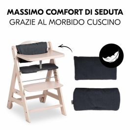 Hauck HAU1715730458756 Trona BETA+ Evolutiva Madera FSC De 6 meses a 90 kg con Arnés de 5 puntos y Ruedas, Blanqueada