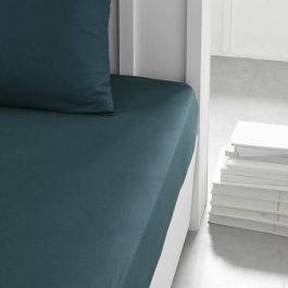 Today TOD3574641207267 Hoy Esencial Hoy Charg - 90x190 cm - 1 Persona - 100% Algodón - Paon Today TOD3574641207267 Hoy Esencial Hoy Charg - 90x190 cm - 1 Persona - 100% Algodón - Paon
