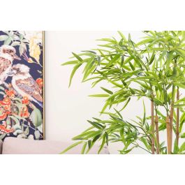 Ibergarden Planta con Maceta Bambú Pequeño 120 cm Maceta 15x15x13 cm