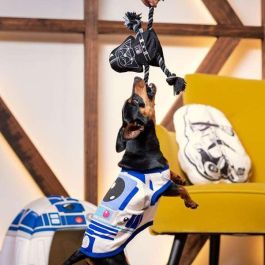 Cerdá Cuerda Dental Perro Star Wars Darth Vader 5.0 x 13.0 x 26.0 cm