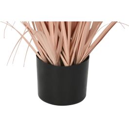 DKD Home Decor Planta Coral Negro 35 x 120 x 35 cm (2 Unidades)