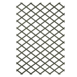 Nature Trellis Enrejado Extensible de Madera Verde 50 x 150 cm